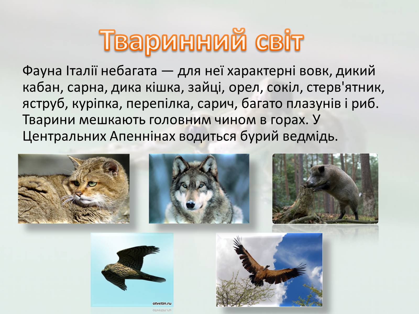 Презентація на тему «Італія» (варіант 37) - Слайд #9