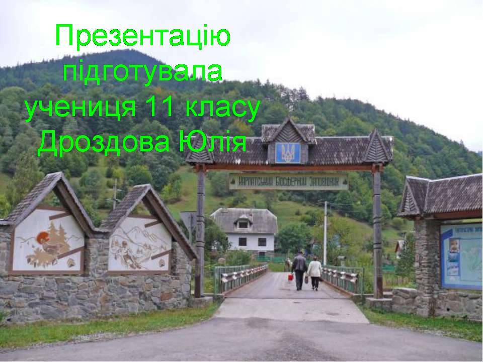 Презентація на тему «Карпатський біосферний заповідник» (варіант 4) - Слайд #10