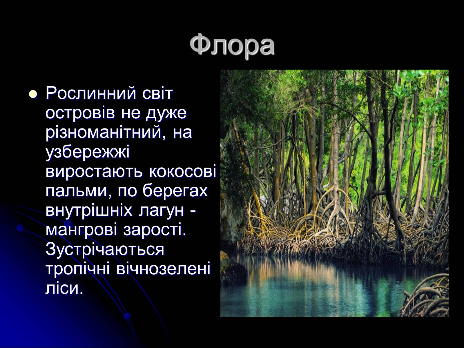 Презентація на тему «Маршалові острови» - Слайд #7