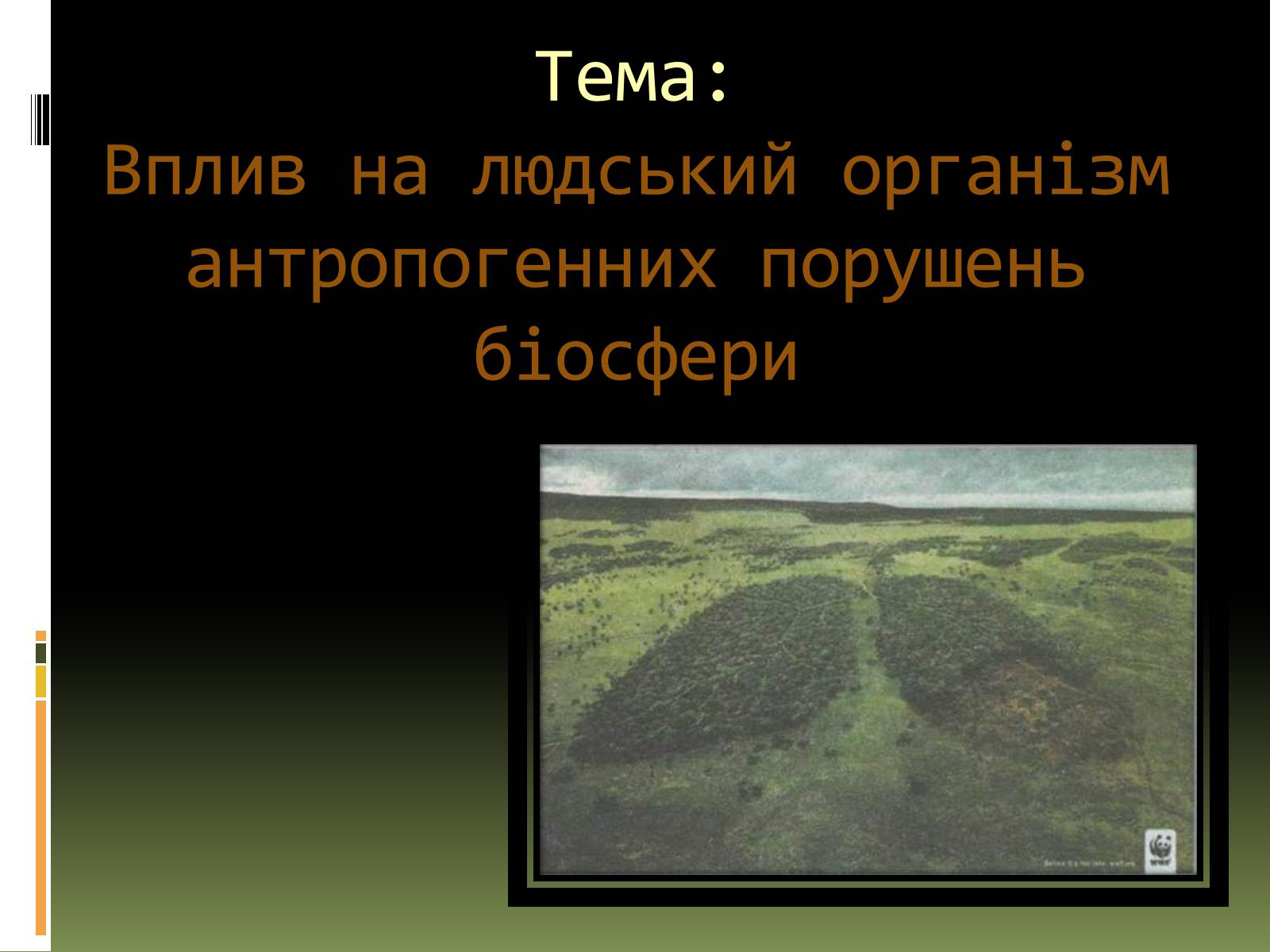 Презентація на тему «Вплив на людський організм антропогенних порушень біосфери» - Слайд #1