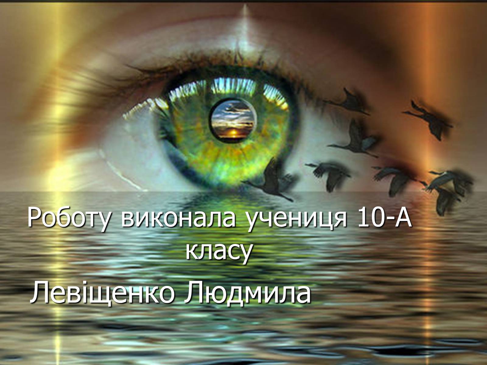 Презентація на тему «Глобальна демографічна проблема світу» - Слайд #11