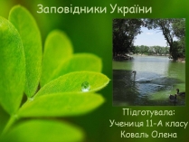 Презентація на тему «Заповідна мережа України» (варіант 8)