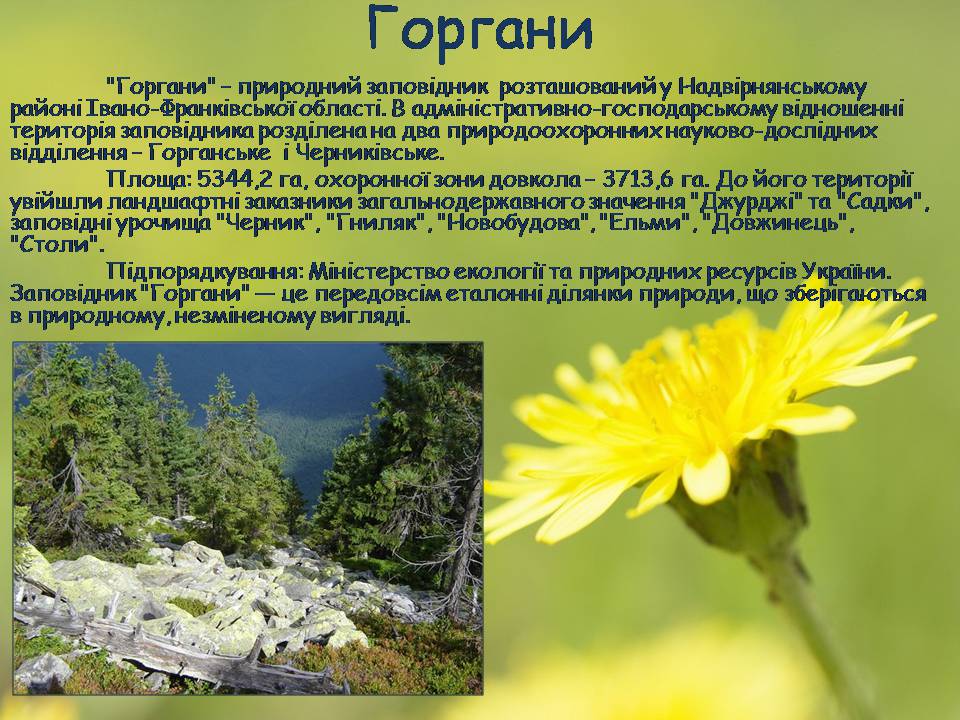 Презентація на тему «Заповідна мережа України» (варіант 8) - Слайд #8