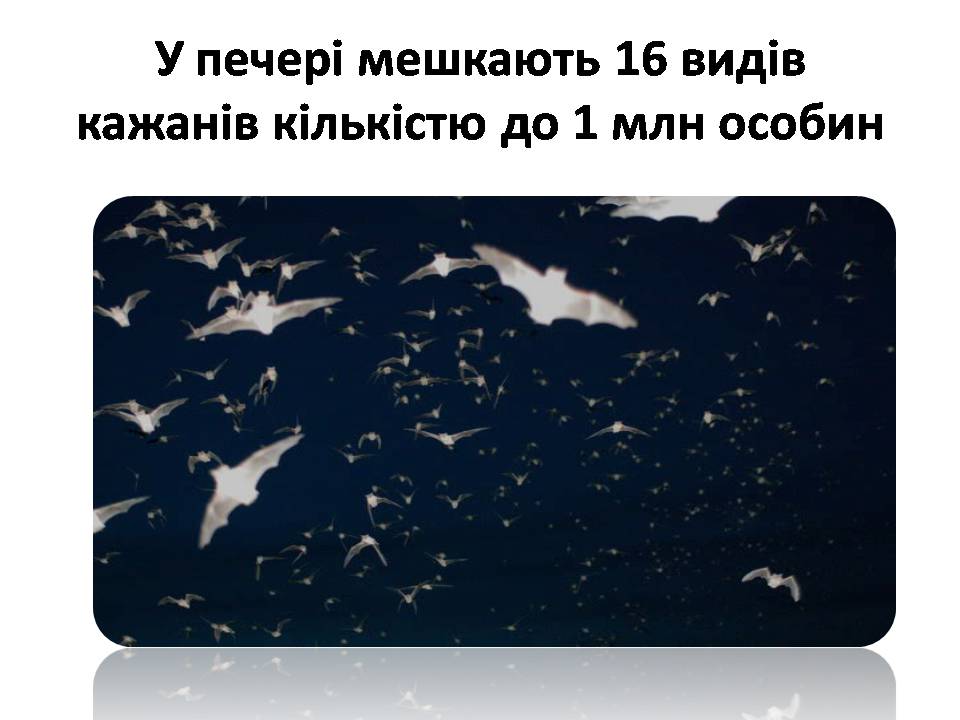 Презентація на тему «США» (варіант 31) - Слайд #52