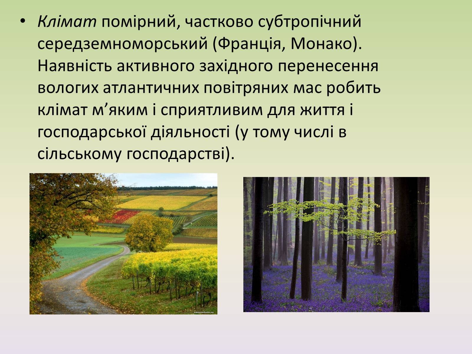 Презентація на тему «Європейські регіони. Західна Європа» - Слайд #11