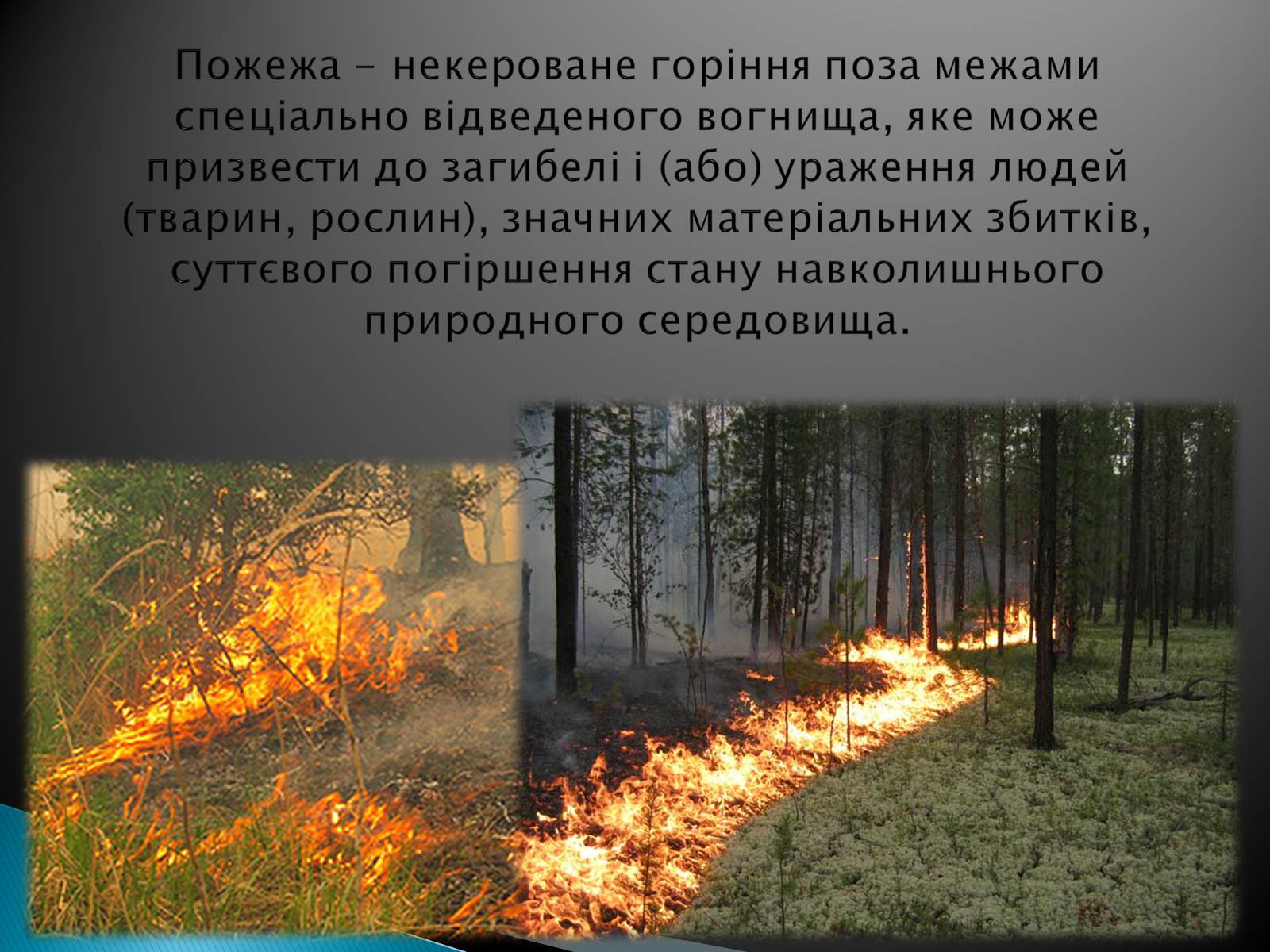 Презентація на тему «Надзвичайні ситуації природного характеру» (варіант 2) - Слайд #12