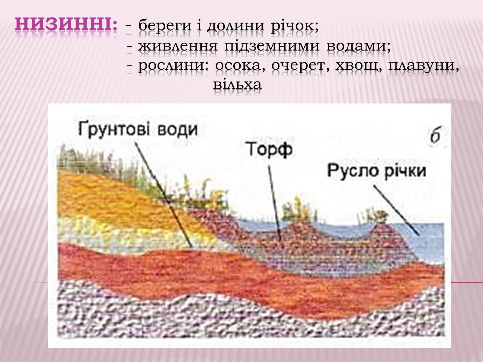 Презентація на тему «Болота та льодовики» (варіант 1) - Слайд #4