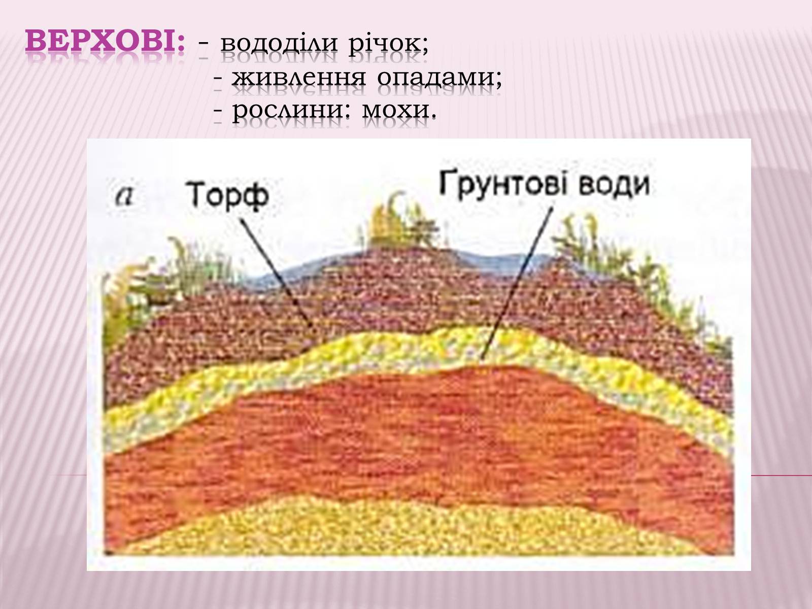 Презентація на тему «Болота та льодовики» (варіант 1) - Слайд #6