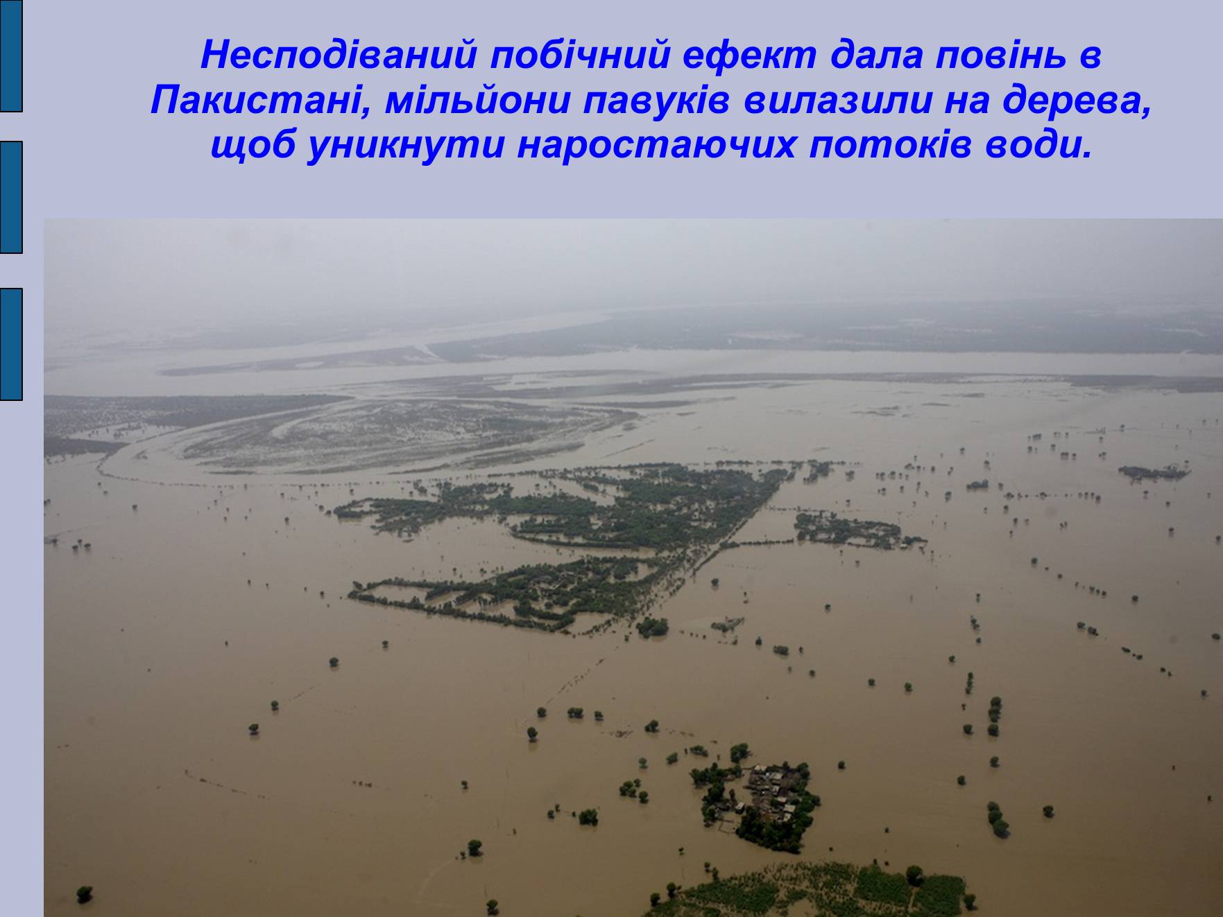 Презентація на тему «Глобальні проблеми людства» (варіант 17) - Слайд #17