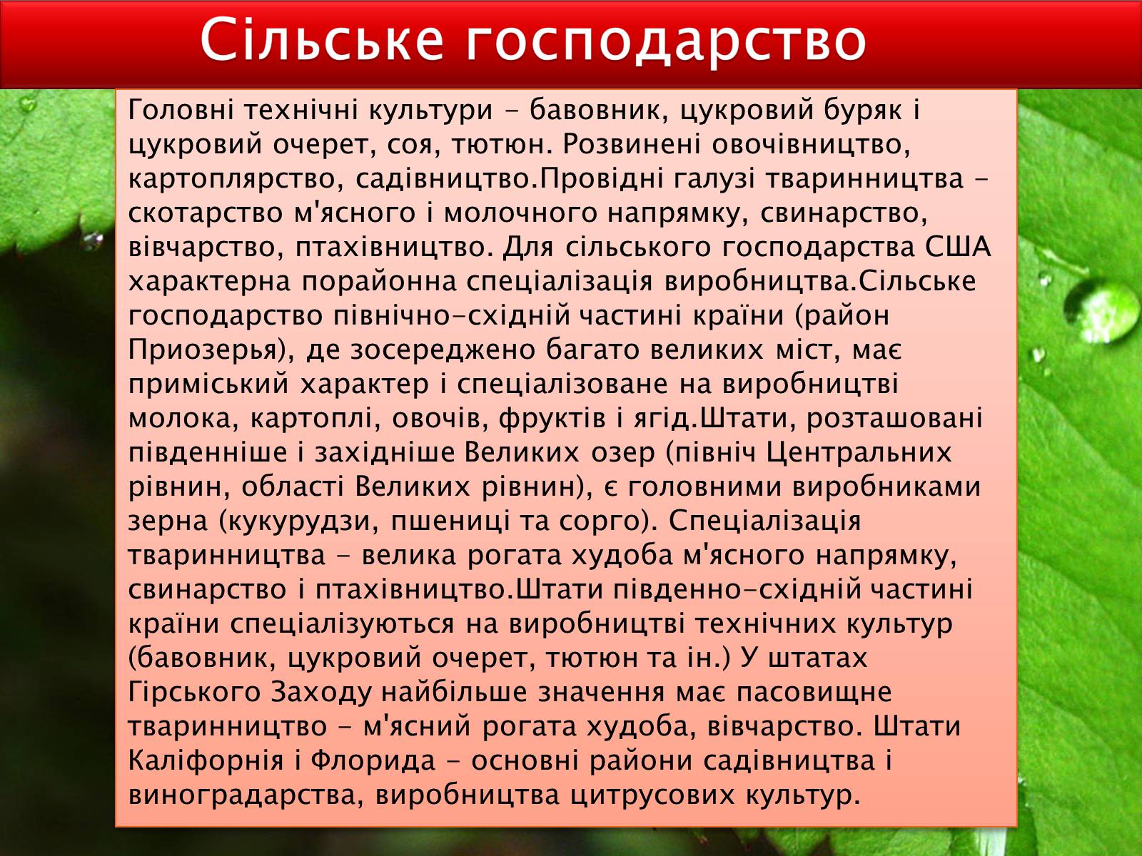 Презентація на тему «США» (варіант 6) - Слайд #14