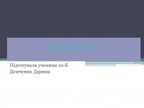 Презентація на тему «Мадагаскар» (варіант 3)