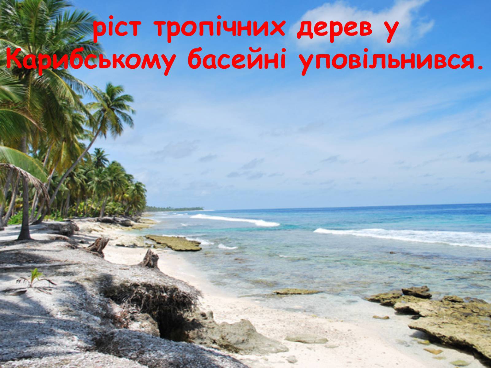 Презентація на тему «Глобальне потепління: що за ним криється?» - Слайд #15