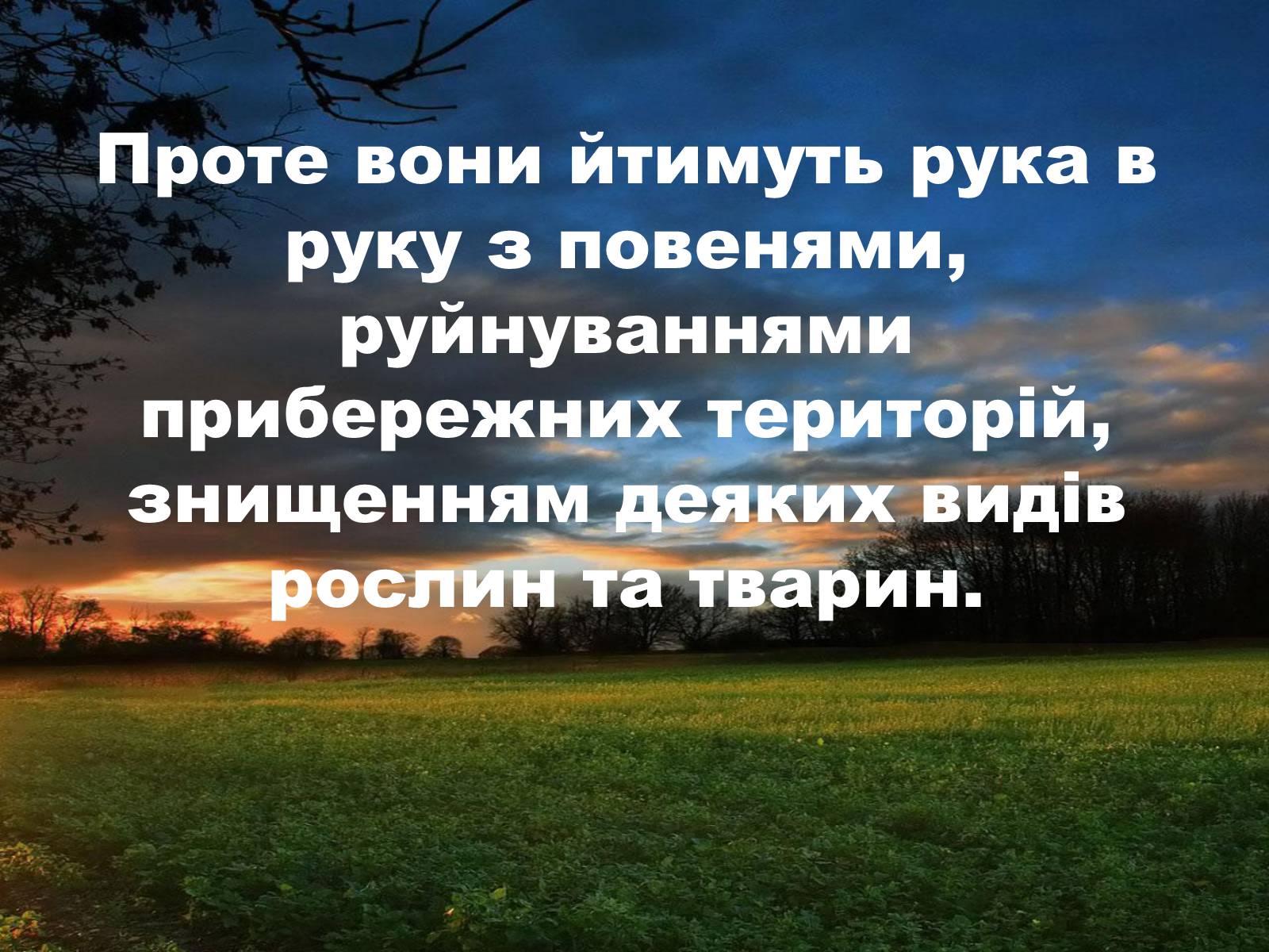 Презентація на тему «Глобальне потепління: що за ним криється?» - Слайд #33