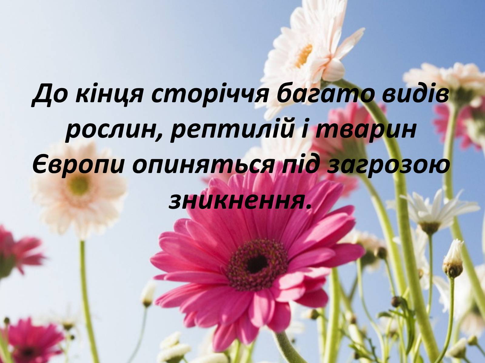 Презентація на тему «Глобальне потепління: що за ним криється?» - Слайд #34