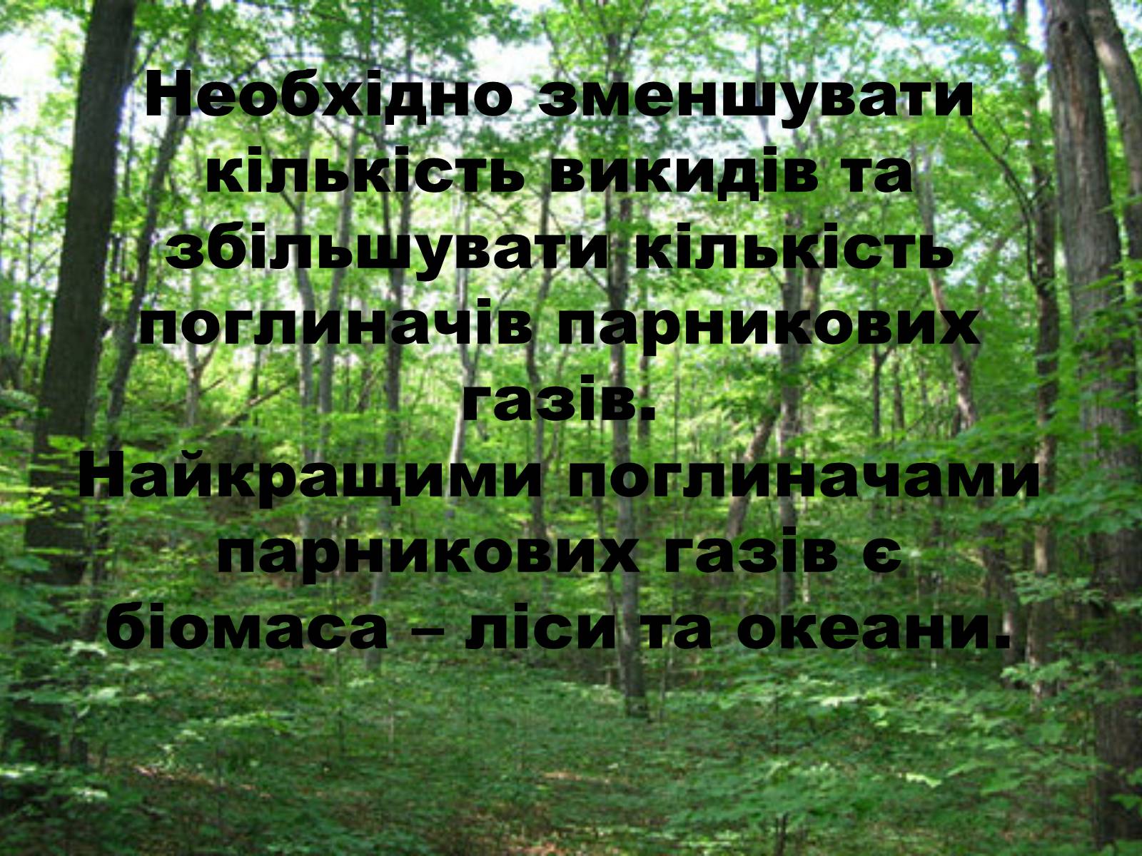 Презентація на тему «Глобальне потепління: що за ним криється?» - Слайд #51