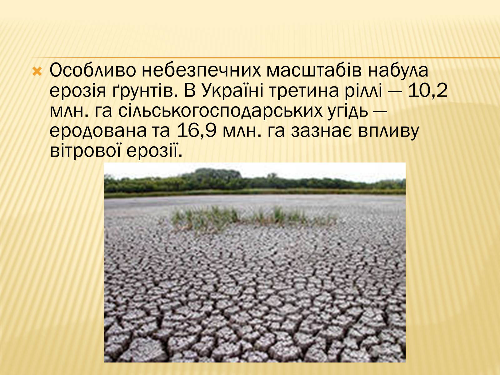 Презентація на тему «Проблема забруднення грунтів» - Слайд #5