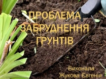 Презентація на тему «Проблема забруднення грунтів»