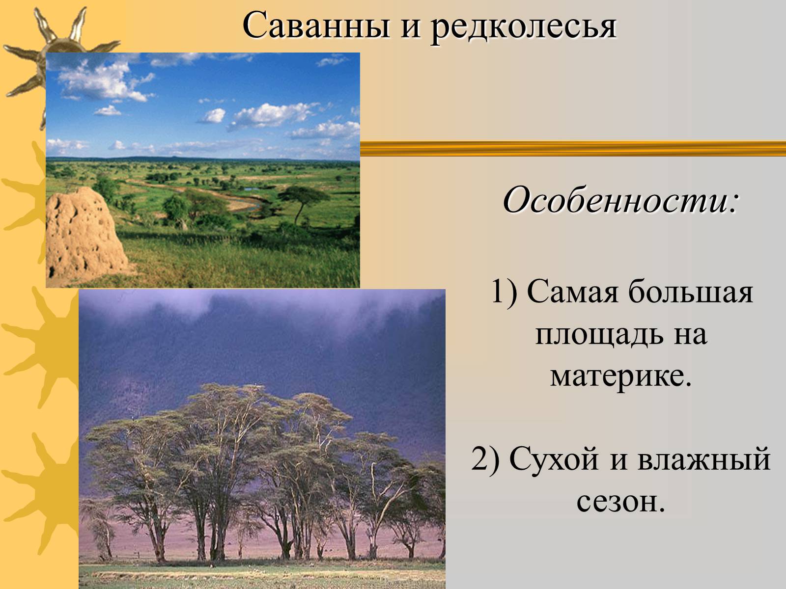 Редколесья природная зона. Природная зона саванны и редколесья. Природные зоны Африки саванны и редколесья. Растения саванны и редколесья Африки. Характеристика саванны и редколесья.