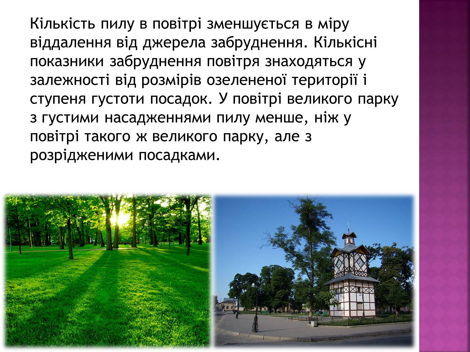 Презентація на тему «Вплив зелених насаджень на загазованість міста Броди» - Слайд #10