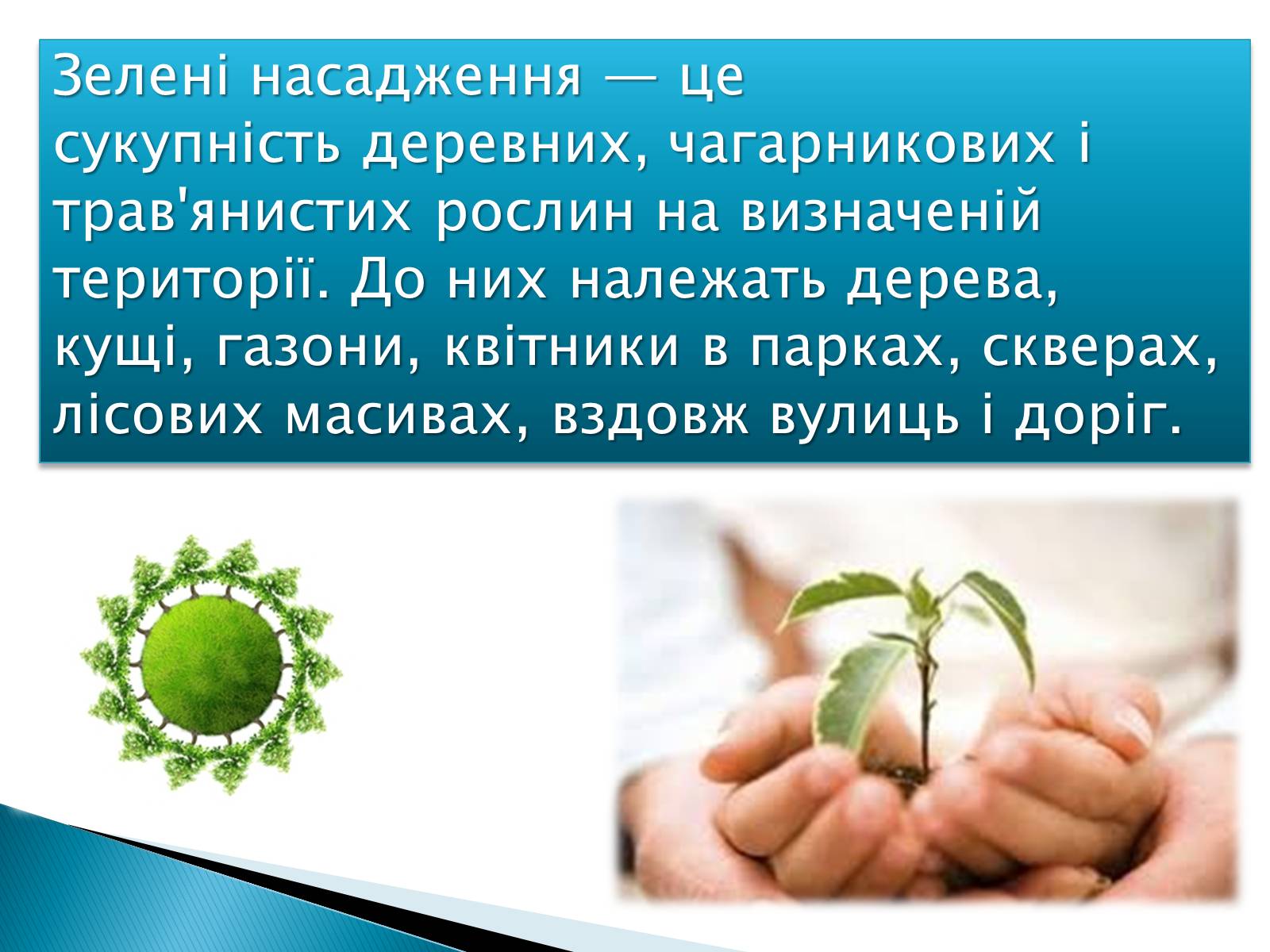 Презентація на тему «Вплив зелених насаджень на загазованість міста Броди» - Слайд #2