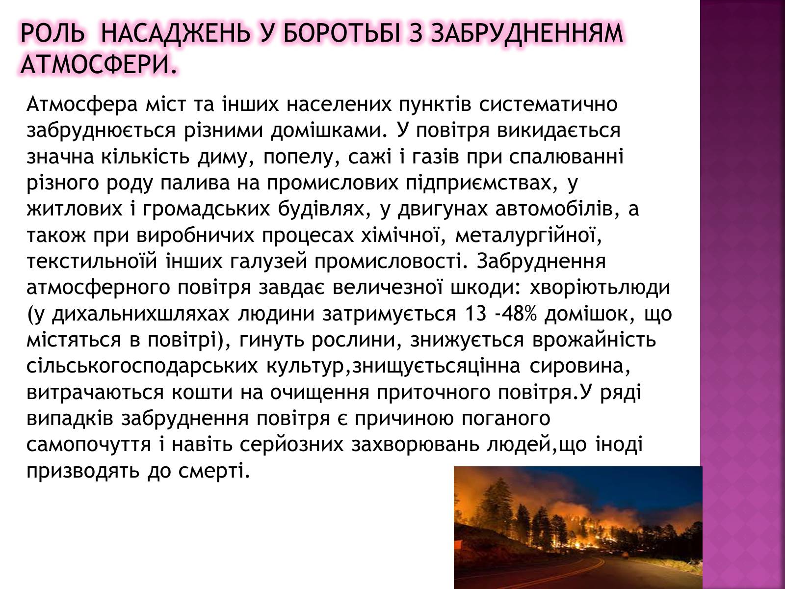 Презентація на тему «Вплив зелених насаджень на загазованість міста Броди» - Слайд #9