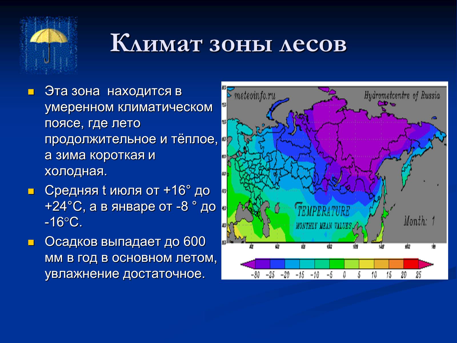 Презентація на тему «Природная зона смешанных и широколиственных лесов» - Слайд #4