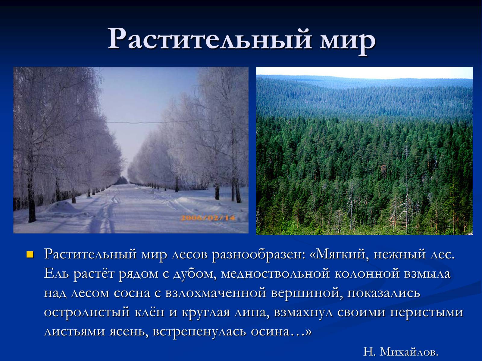 Природном зоне расположен населенный пункт. Зона смешанных и широколиственных лесов растительность. Смешанные леса растения презентация 4 класс. Интересные факты о зоне смешанных и широколиственных лесов.