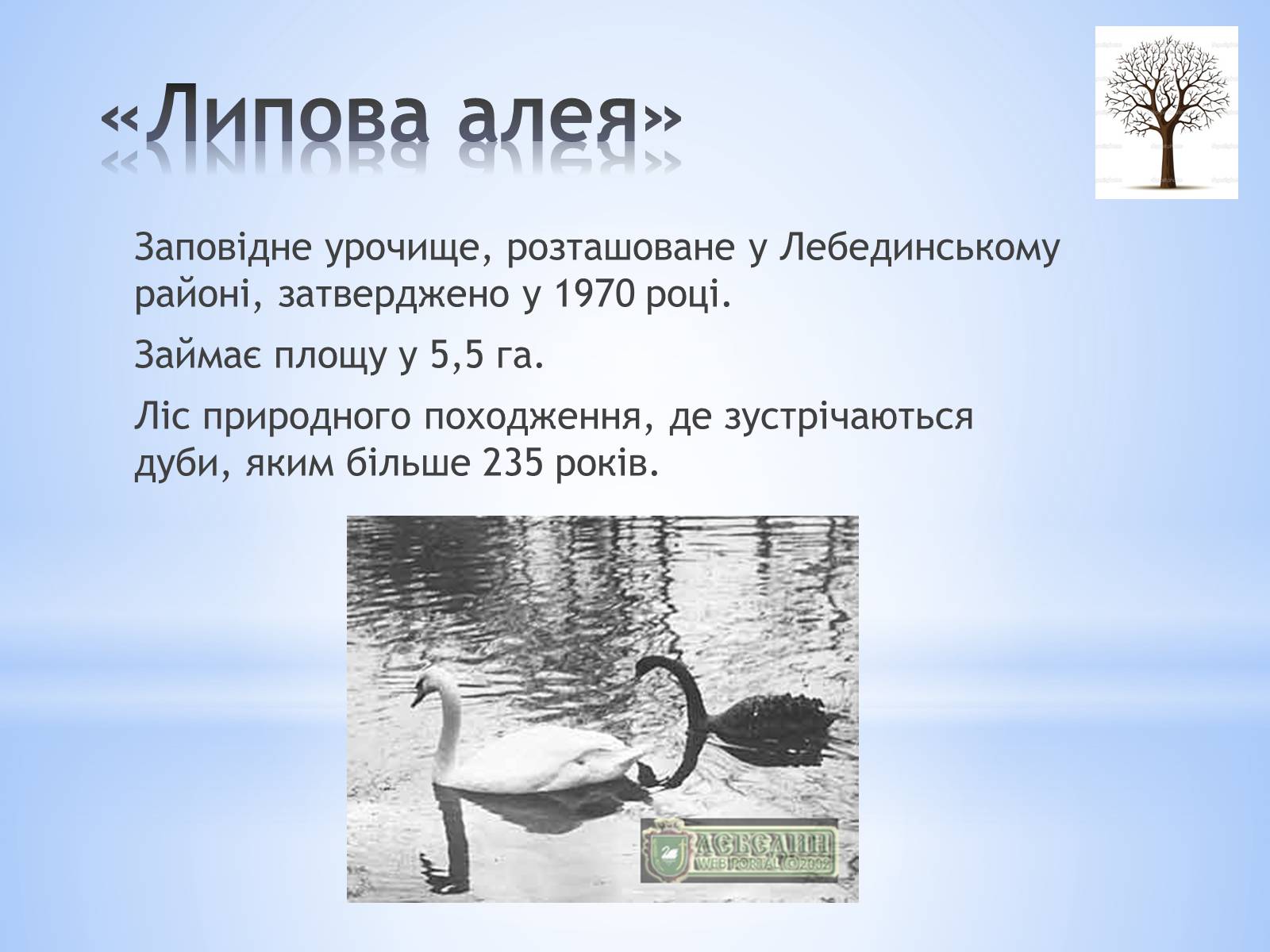 Презентація на тему «Заповідники Сумської області» - Слайд #8