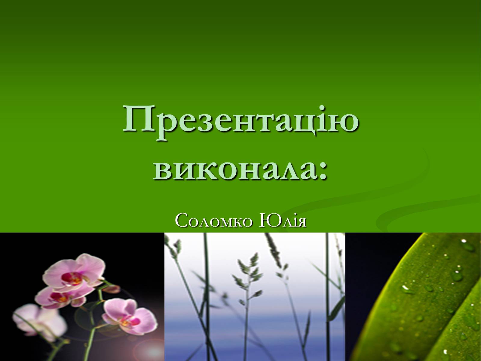 Презентація на тему «Червона книга України» (варіант 2) - Слайд #11