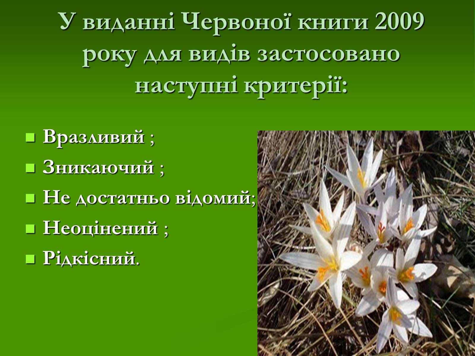 Презентація на тему «Червона книга України» (варіант 2) - Слайд #5