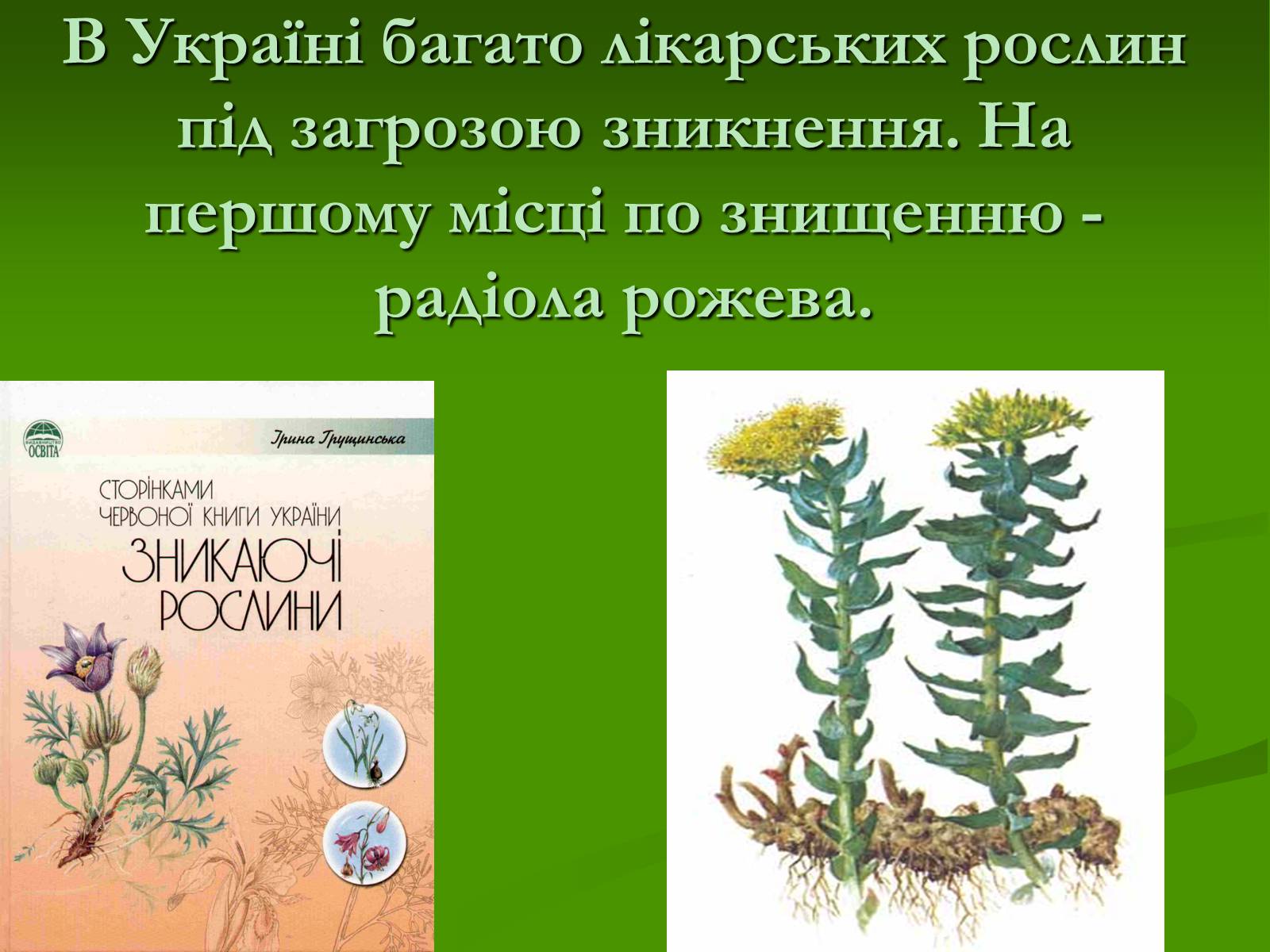 Презентація на тему «Червона книга України» (варіант 2) - Слайд #9