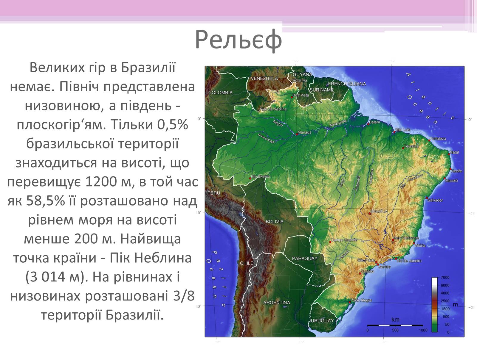 Презентація на тему «Бразилія» (варіант 7) - Слайд #7