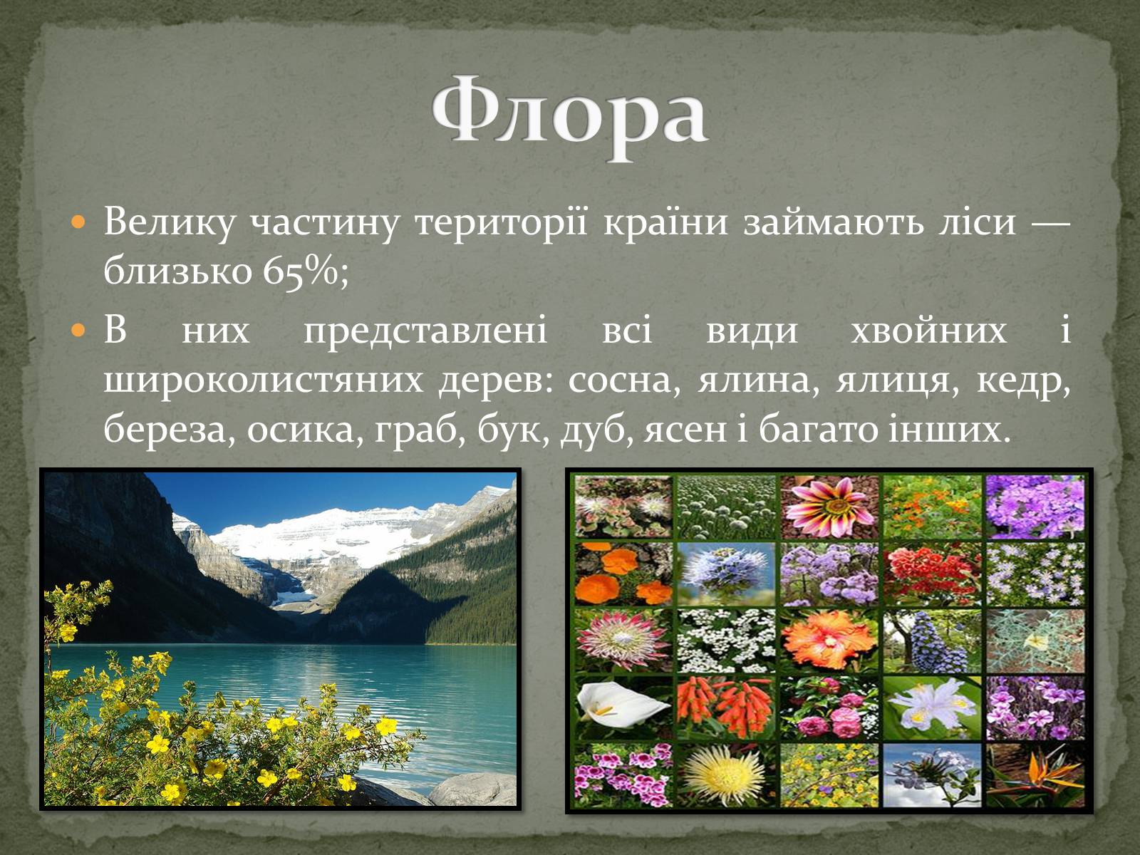 Презентація на тему «Російська Федерація» (варіант 2) - Слайд #6