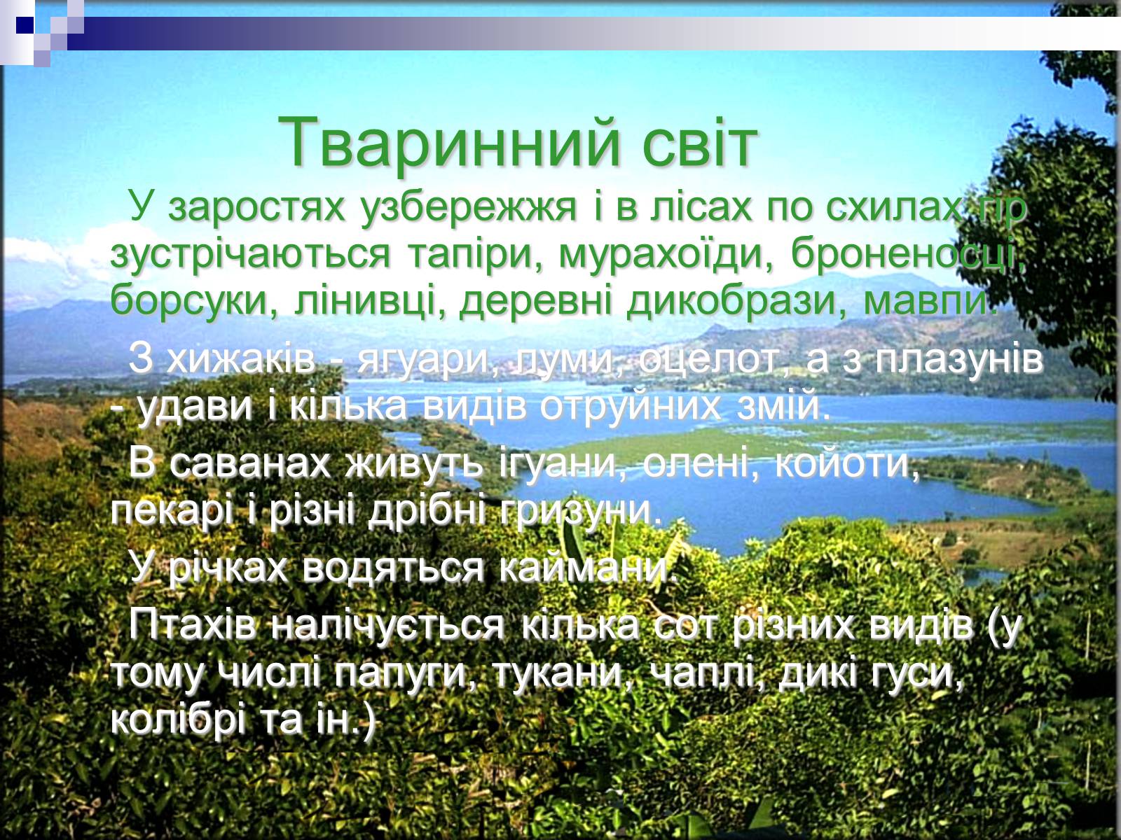 Презентація на тему «Сальвадор» - Слайд #13