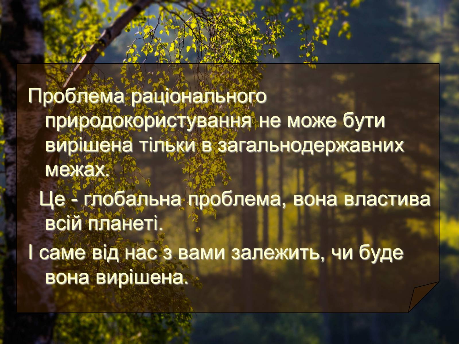 Презентація на тему «Невиснажливе природокористування» - Слайд #11