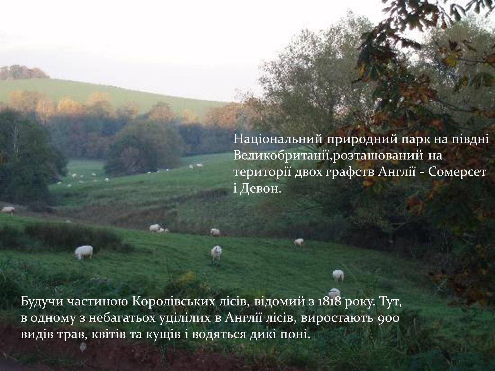 Презентація на тему «Природні парки Великої Британії» (варіант 1) - Слайд #10