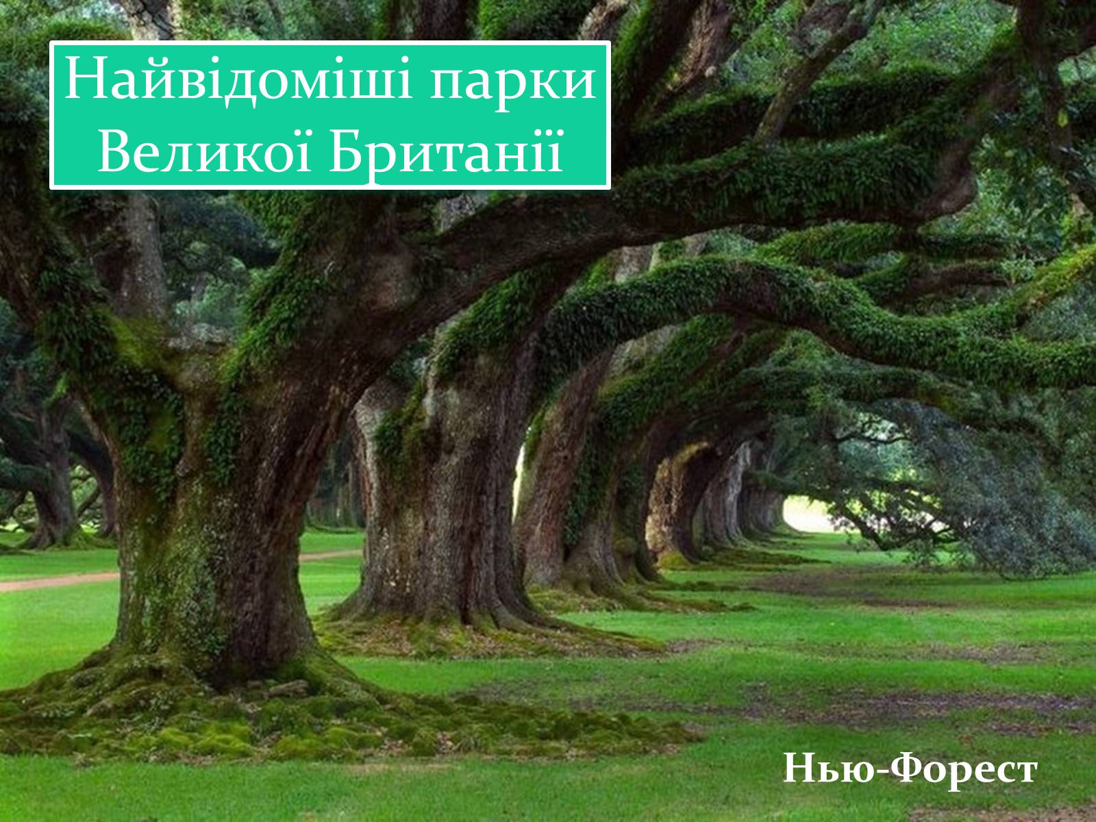 Презентація на тему «Природні парки Великої Британії» (варіант 1) - Слайд #7