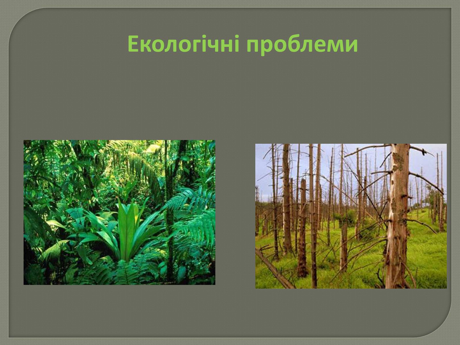 Презентація на тему «Глобальні проблеми людства» (варіант 31) - Слайд #7