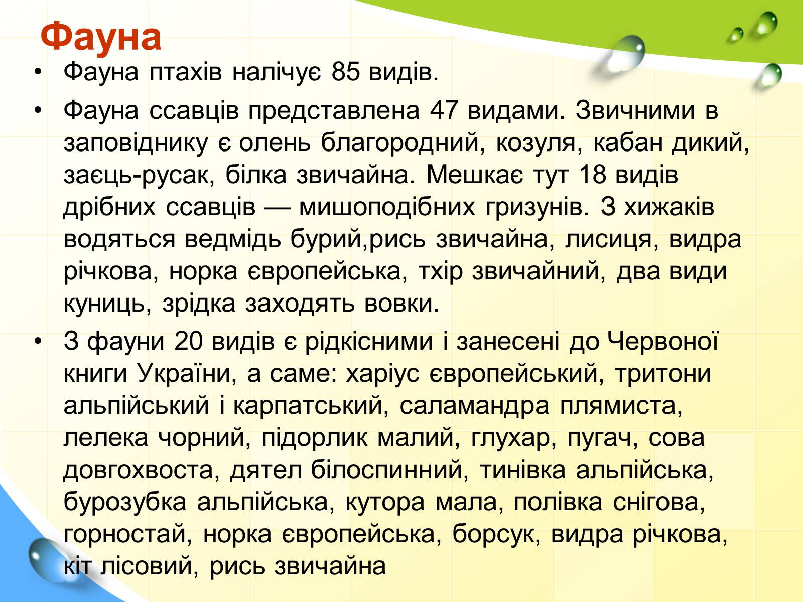 Презентація на тему «Природний заповідник «Горгани»» (варіант 2) - Слайд #8