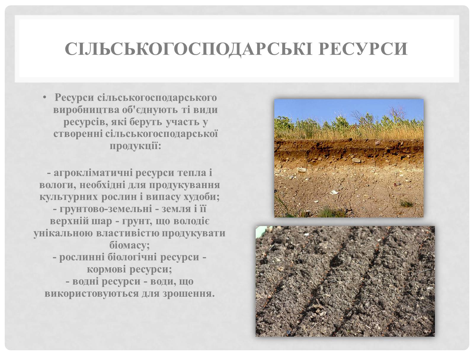 Презентація на тему «Природні ресурси та їх класифікація» (варіант 1) - Слайд #8