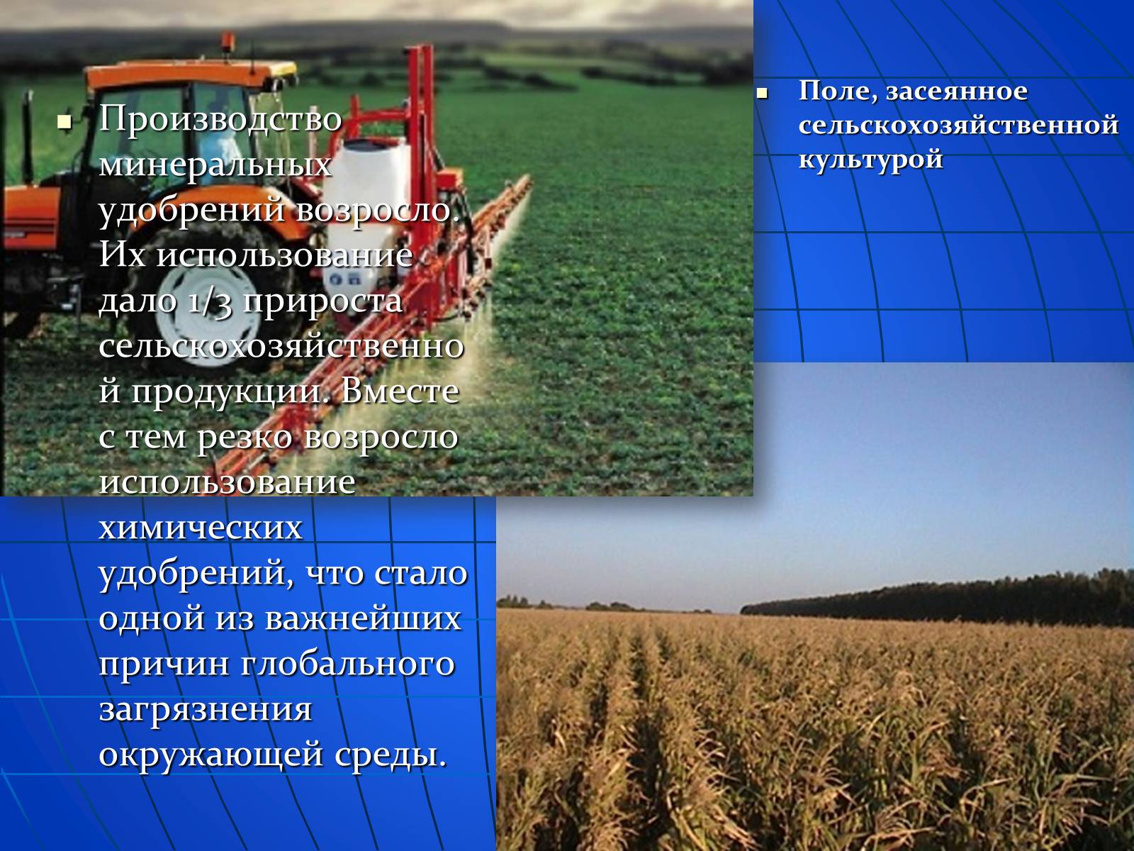 Презентація на тему «Глобальные экологические проблемы» (варіант 2) - Слайд #11