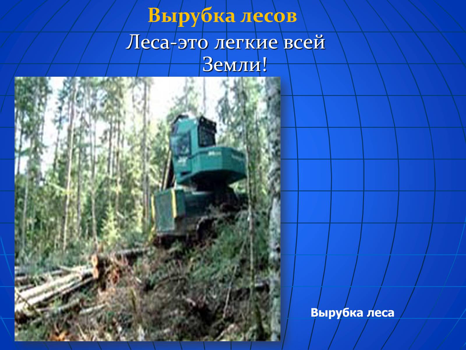 Презентація на тему «Глобальные экологические проблемы» (варіант 2) - Слайд #13