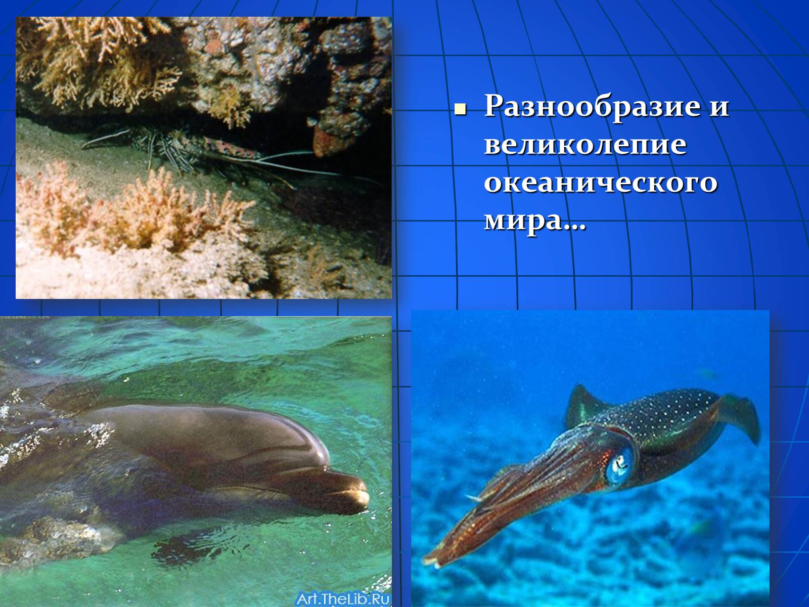 Презентація на тему «Глобальные экологические проблемы» (варіант 2) - Слайд #25