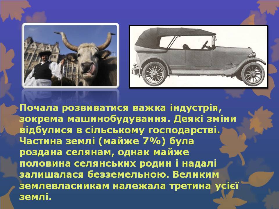 Презентація на тему «Угорщина» (варіант 14) - Слайд #10