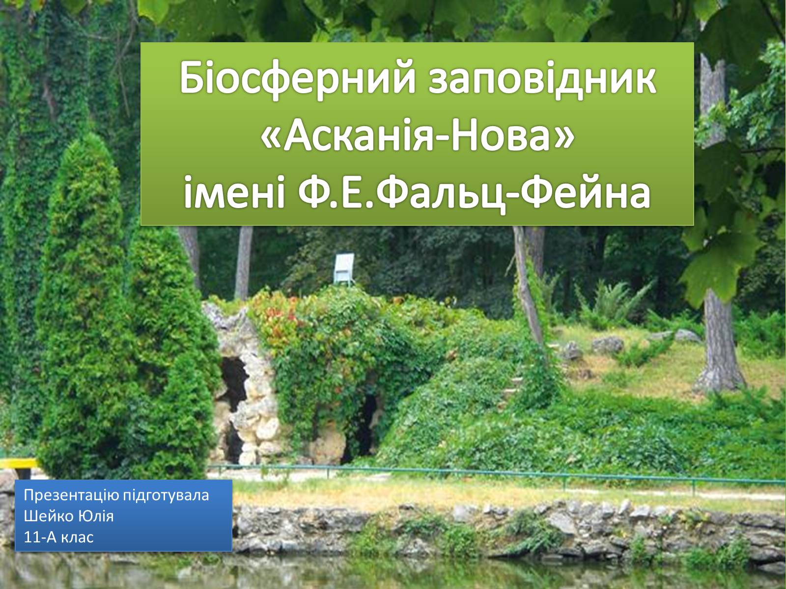 Презентація на тему «Асканія Нова» (варіант 2) - Слайд #1