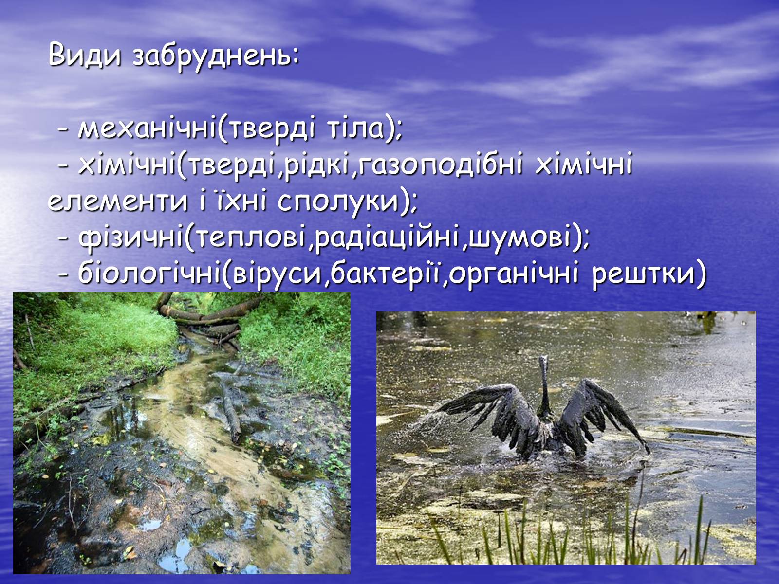 Презентація на тему «Основні антропогенні джерела забруднення навколишнього середовища» (варіант 3) - Слайд #5