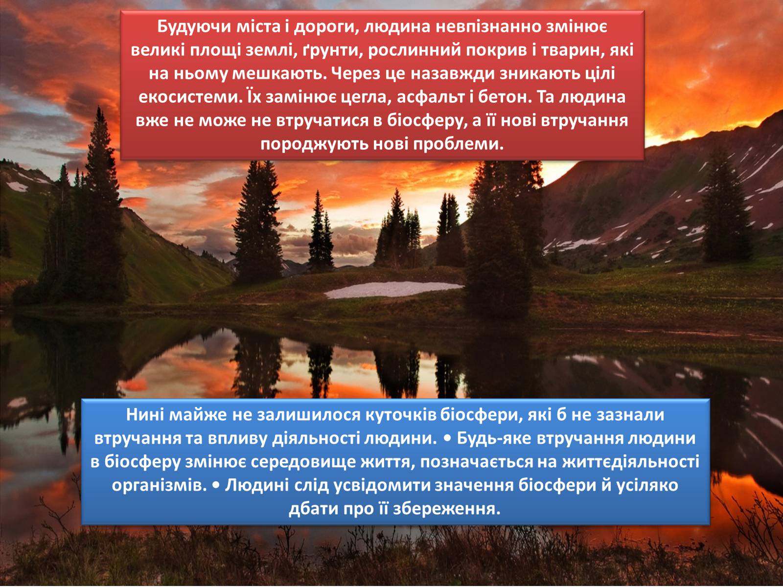 Презентація на тему «Людина і біосфера. Охорона біосфери» (варіант 3) - Слайд #14