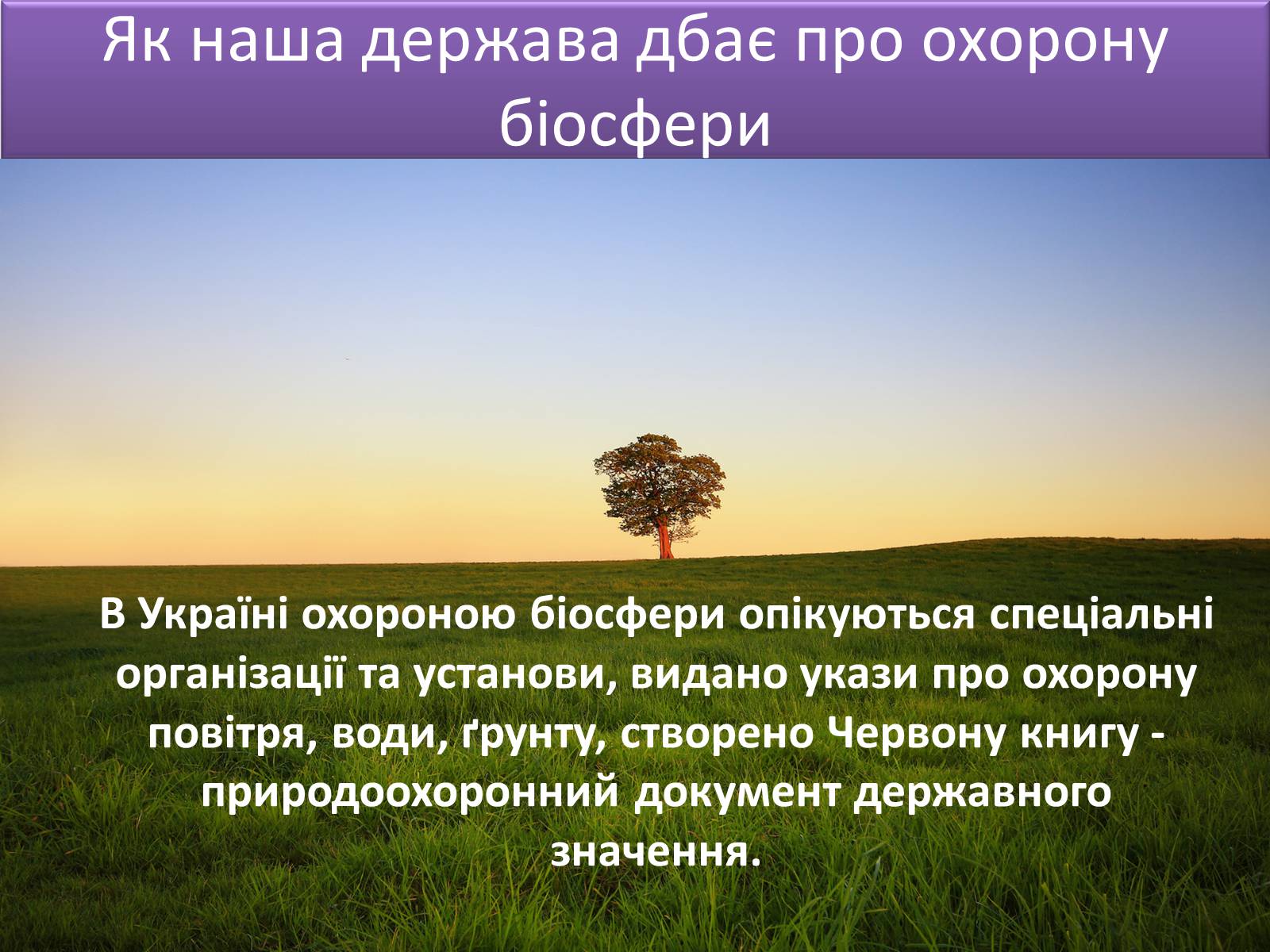 Презентація на тему «Людина і біосфера. Охорона біосфери» (варіант 3) - Слайд #5