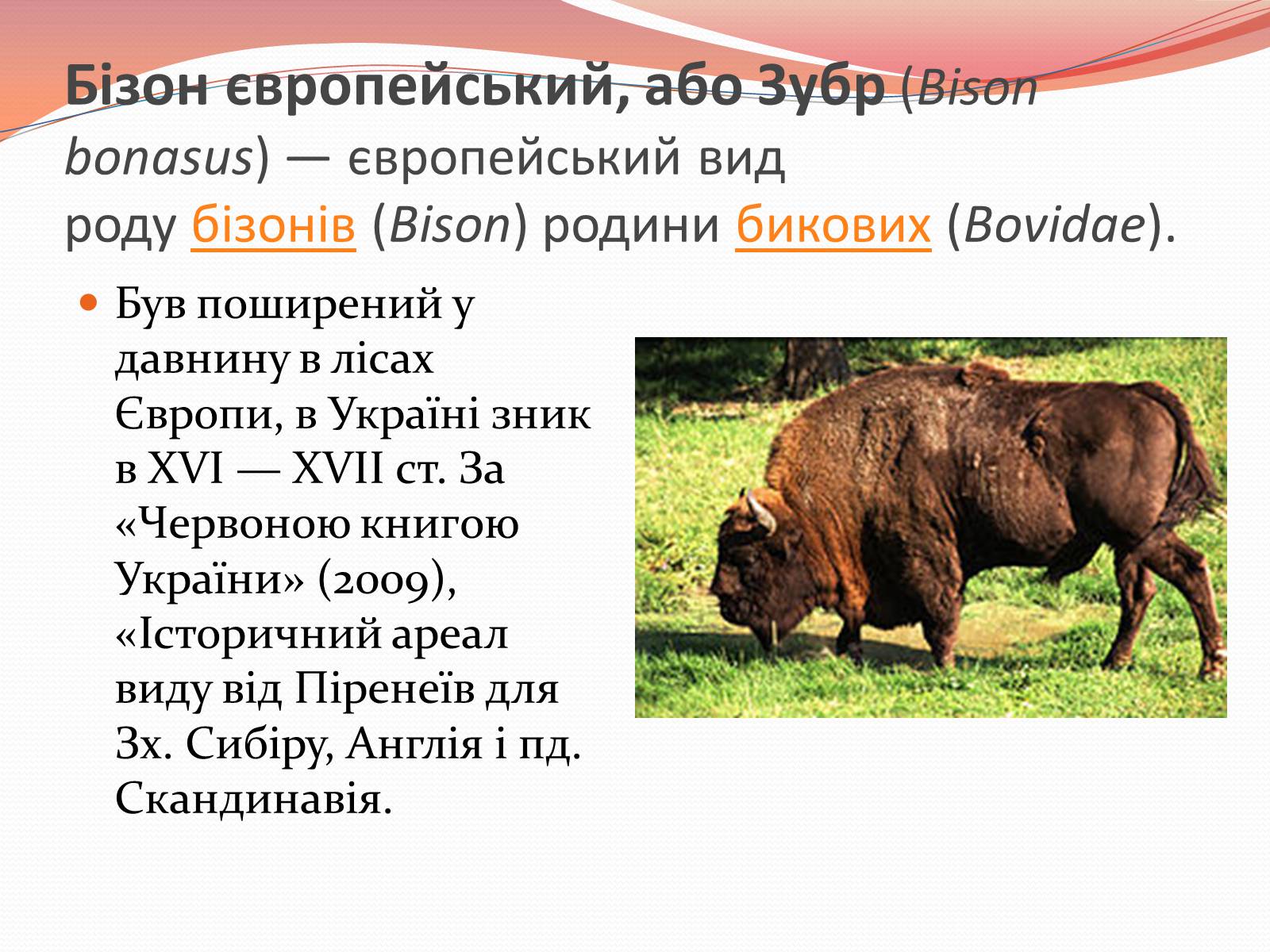 Презентація на тему «Червона книга України» (варіант 10) - Слайд #10