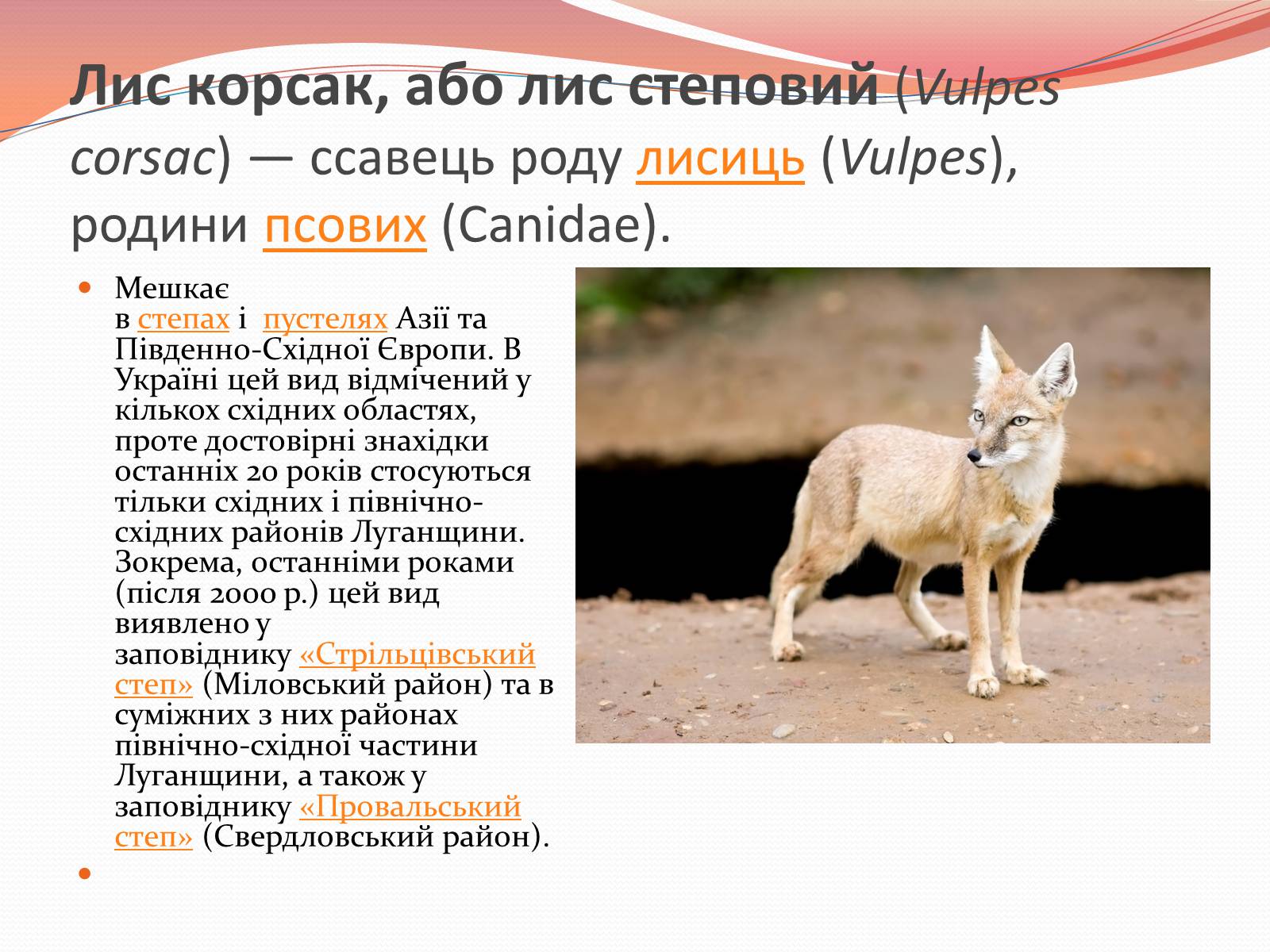 Презентація на тему «Червона книга України» (варіант 10) - Слайд #14